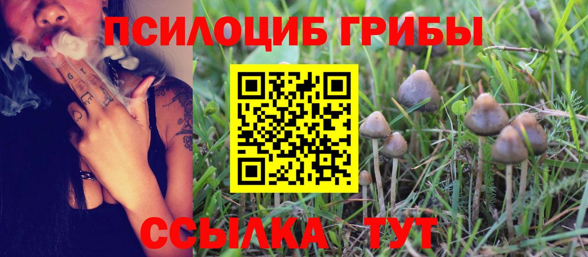 Псилоцибиновые грибы Magic Shrooms  Галлюциногенные грибы прущие грибы  Губкинский  Вход с VPN 